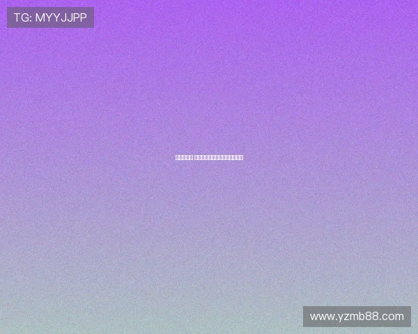 新赛季来临 这面盾牌为我们揭开了全新篇章